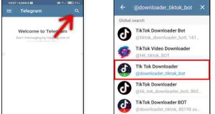 Download TikTok Tanpa Watermark di Telegram