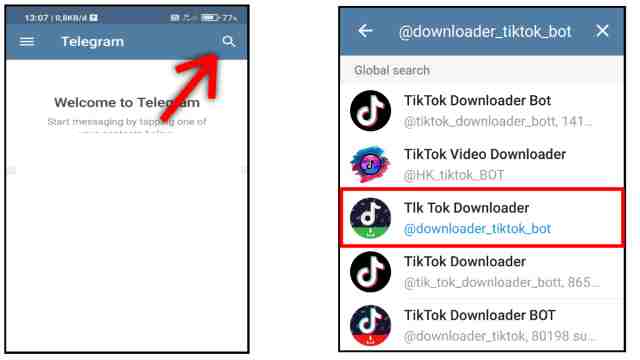 Download TikTok Tanpa Watermark di Telegram